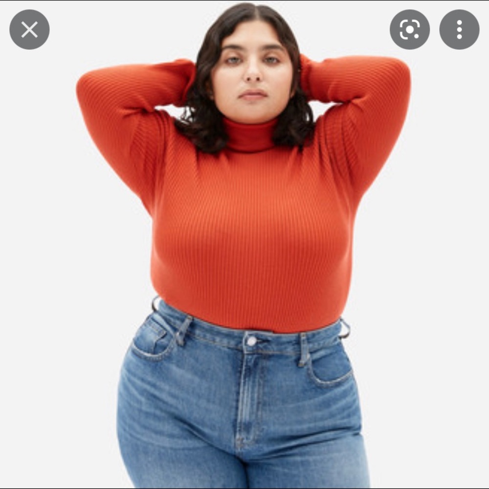 Italian Merino Wool Rib Turtlneck